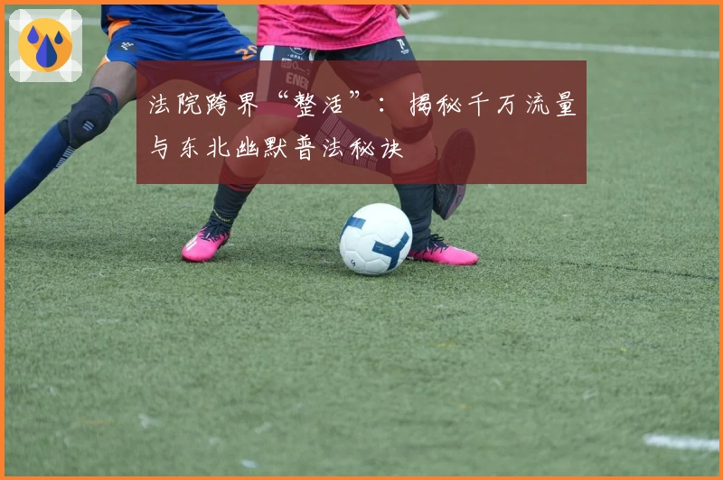 法院跨界“整活”：揭秘千万流量与东北幽默普法秘诀