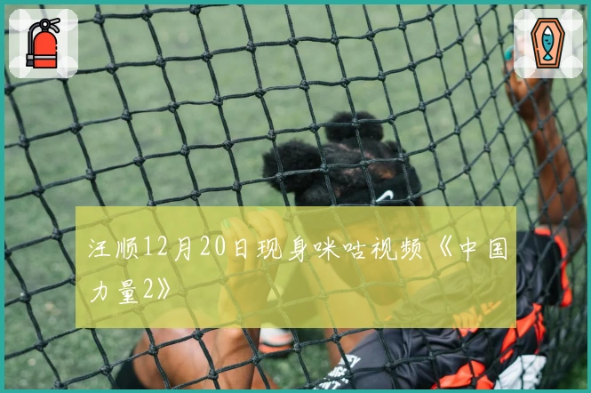 汪顺12月20日现身咪咕视频《中国力量2》