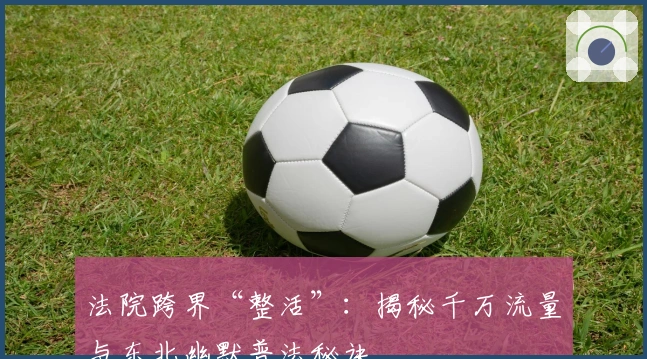 法院跨界“整活”：揭秘千万流量与东北幽默普法秘诀