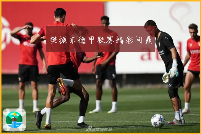 樊振东德甲联赛精彩问鼎