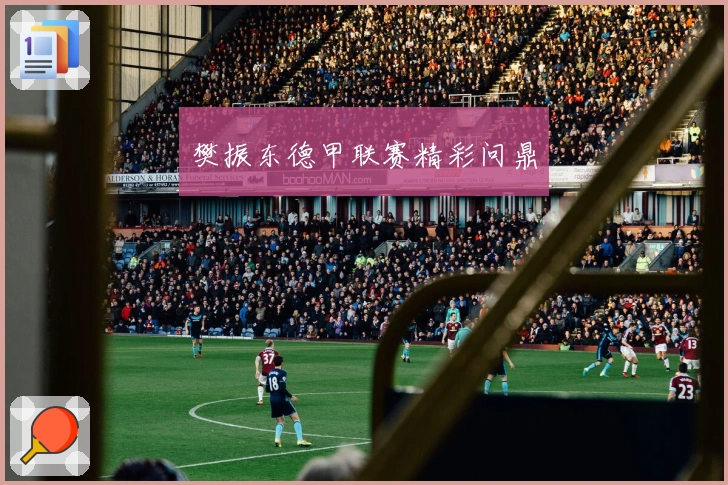 樊振东德甲联赛精彩问鼎