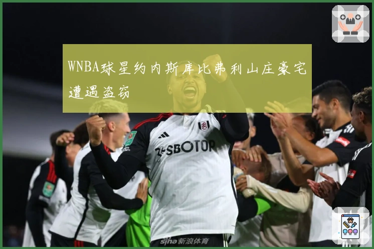 WNBA球星约内斯库比弗利山庄豪宅遭遇盗窃